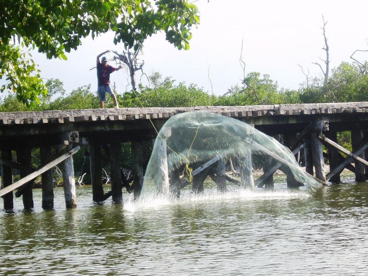 Antigua Lodge, 70 M From Sandy Beach เอลกูโย ภายนอก รูปภาพ