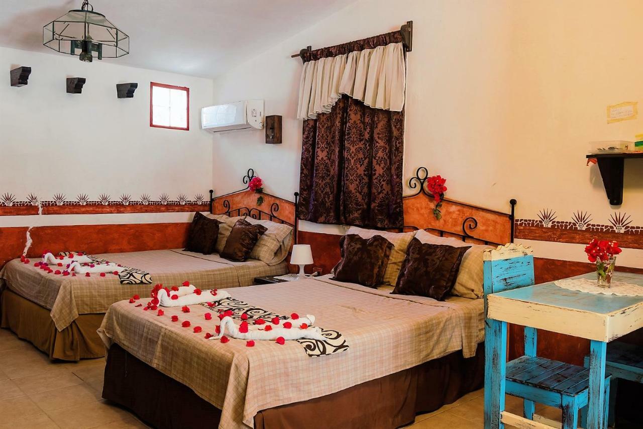 Antigua Lodge, 70 M From Sandy Beach เอลกูโย ภายนอก รูปภาพ